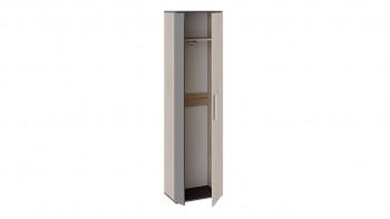 Шкаф для одежды «Нуар» тип 1 Фон серый/Дуб сонома в Стрелке - strelka.mebel54.com | фото