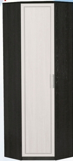 Шкаф для одежды угловой ДЛЯ ГОСТИНОЙ ШОУ-695 Венге/Дуб выбеленный в Стрелке - strelka.mebel54.com | фото