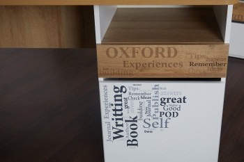 Стол с ящиками «Оксфорд» (Ривьера/Белый с рисунком) в Стрелке - strelka.mebel54.com | фото